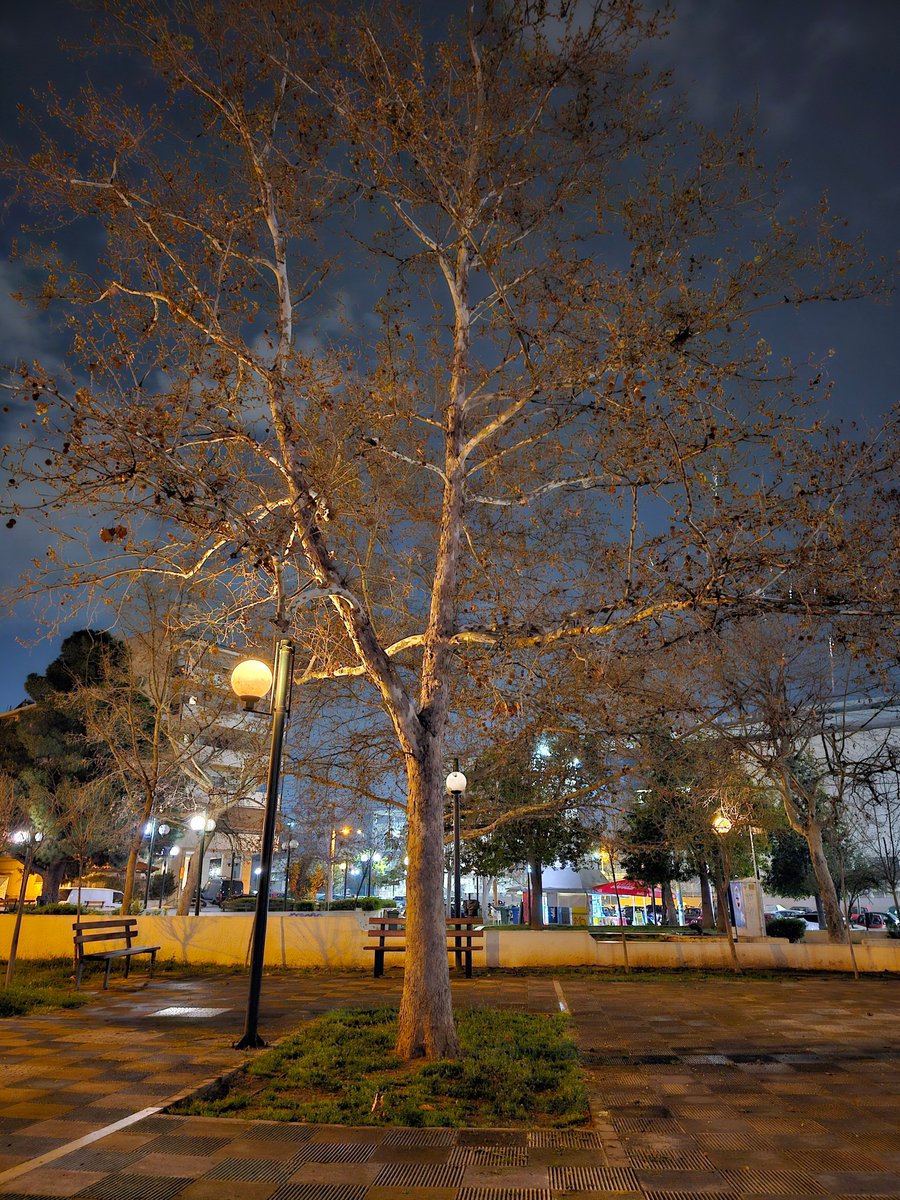 iMRAN_MiTT's tweet image. #S23Ultra #nightography #CameraAssistant
w/o Camera Assistant • w/ Camera Assistant