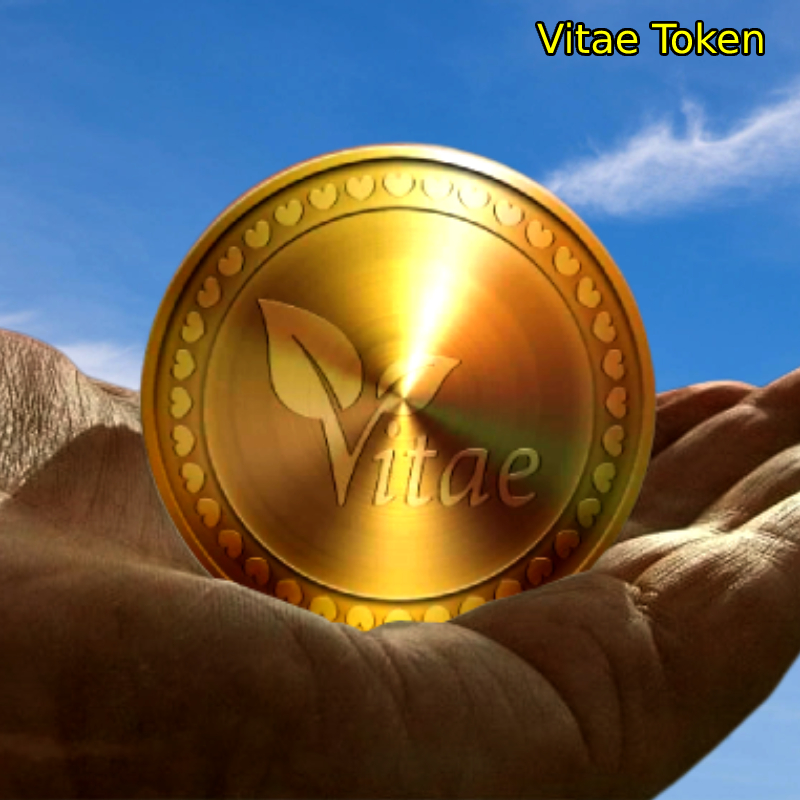 MaXaVitae's tweet photo. Social Network Vitae. Vitae Token
#mamxanhvitae #vitae
Full HD Video: https://t.co/LqFrUrtpg6 https://t.co/hf5RZjxEfP
