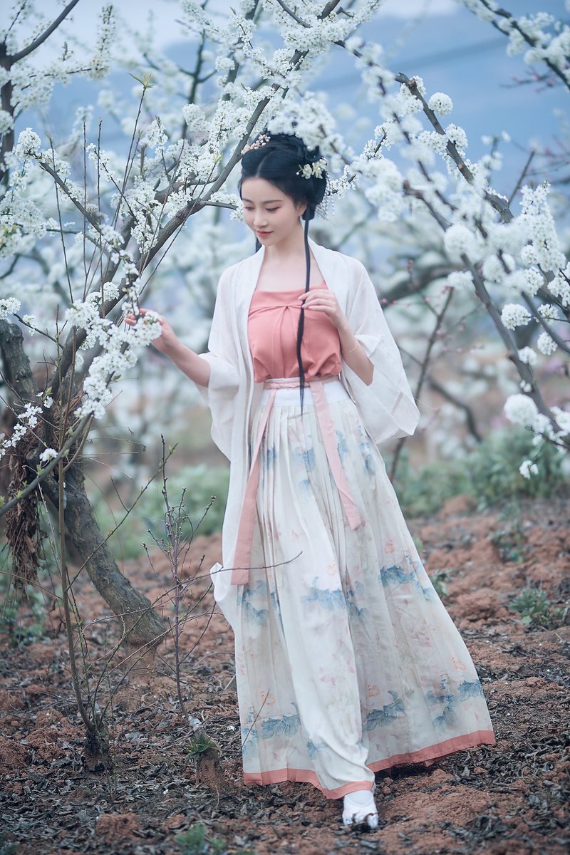 花褪残红青杏小。燕子飞时，绿水人家绕……

《三月榕》已上新，完整版私信入哦🥰
出镜：@_nnian https://t.co/DZ48S8TuOD