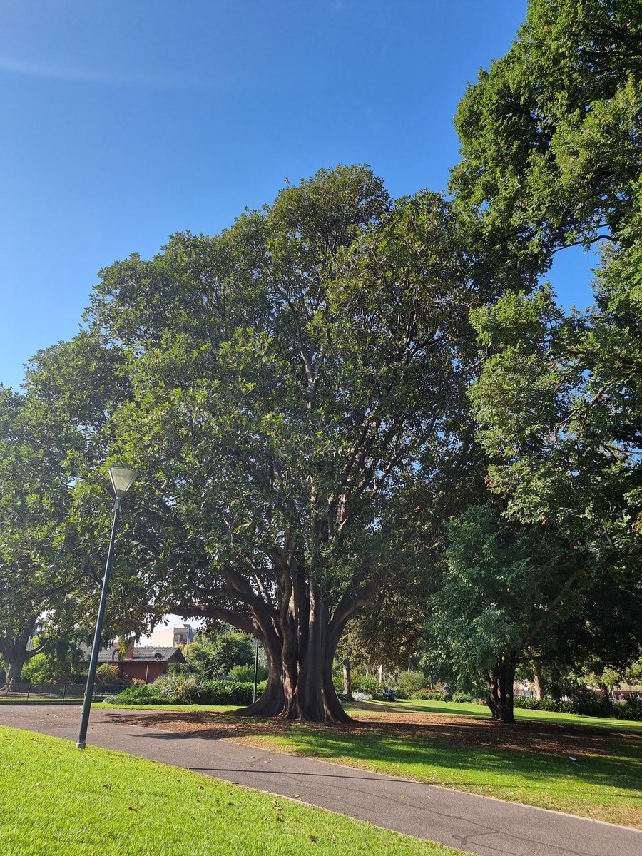 Syc.hype tweet media