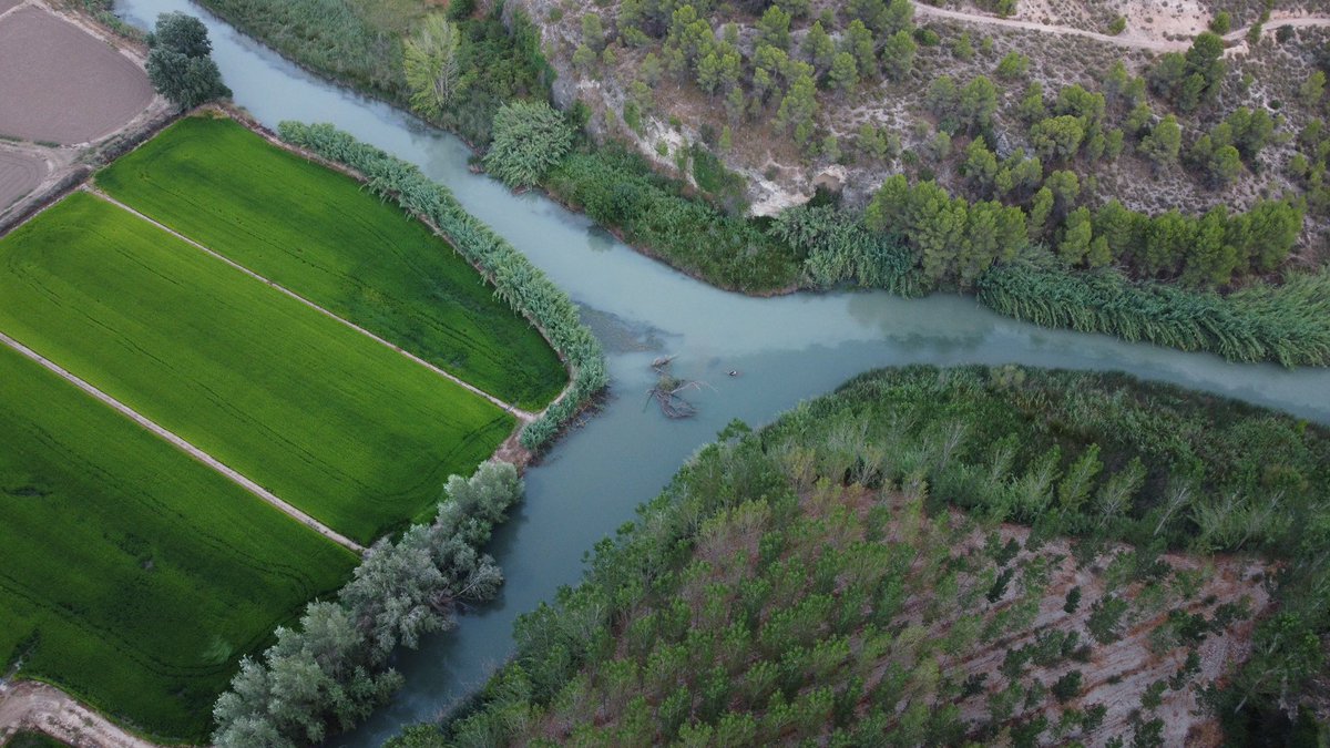 JMtnezNunez's tweet photo. Buenos días , #FelizMiercoles #DiaMundialDelAgua . “𝗦𝗶 𝗹𝗮 𝘁𝗶𝗲𝗿𝗿𝗮 𝗲𝘀 𝘂𝗻𝗮 𝗺𝗮𝗱𝗿𝗲, 𝗲𝗻𝘁𝗼𝗻𝗰𝗲𝘀 𝗹𝗼𝘀 𝗿𝗶́𝗼𝘀 𝘀𝗼𝗻 𝘀𝘂𝘀 𝘃𝗲𝗻𝗮𝘀”. 𝗔𝗺𝗶𝘁 𝗞𝗮𝗹𝗮𝗻𝘁𝗿𝗶.. (Las juntas del #RioMundo #RioSegura) #Calasparra https://t.co/uaefZxYDll