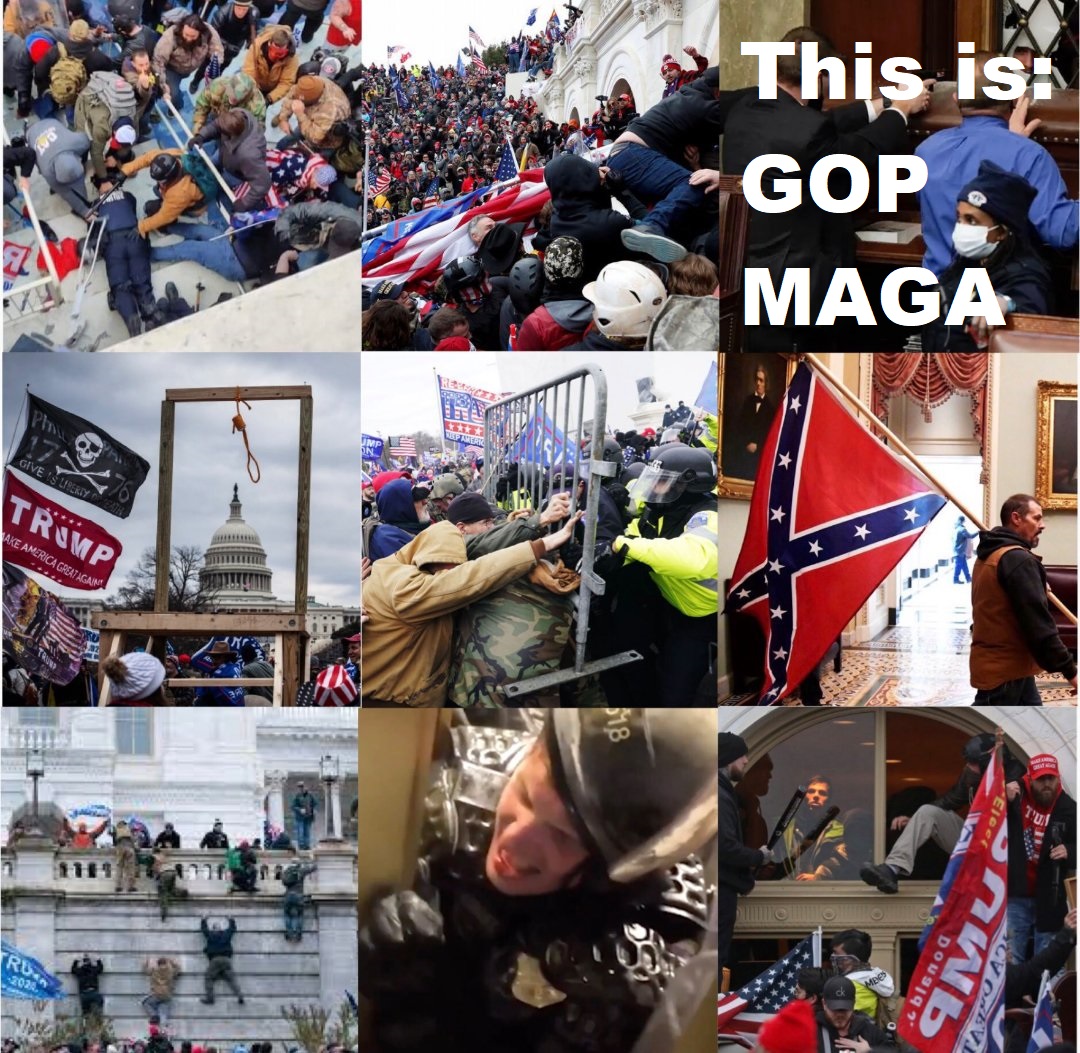 QuestBlackbeard's tweet photo. @RobinApplebyMD They don't call these white folks @GOP-#MAGA-#KKK Confederate Cult of #CrossBurning #Christofascist #CuzzinFukkers praying at the #FirstChurchOfMAGAtry for nothing! https://t.co/4xy1U2muUd