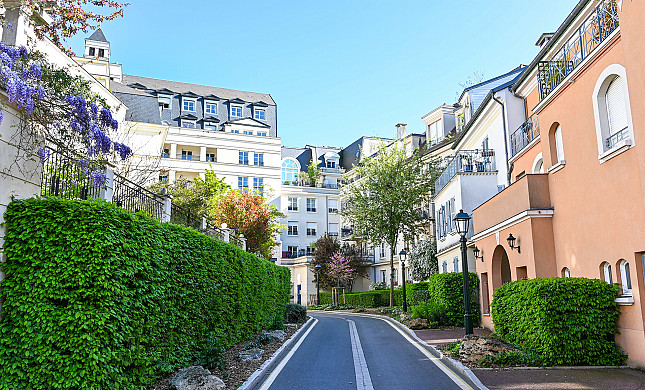 Milly Main tweet media