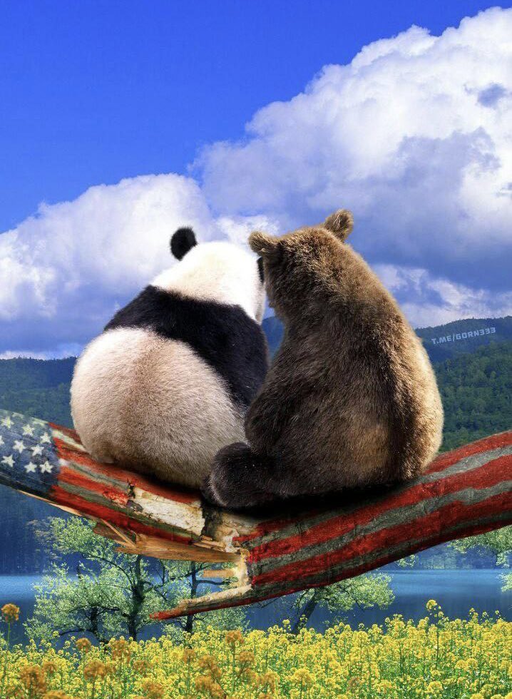 HatUshanka's tweet photo. 🇨🇳🤝 🇷🇺 С сегодняшнего дня, некоторые полагают, что это выглядит так, а вы? https://t.co/hr29U1xMdU