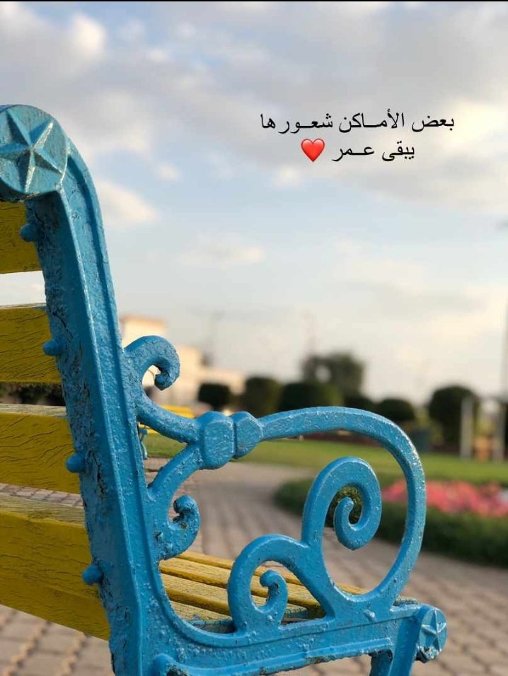 r0a5_'s tweet photo. "صباحُ الخيرِ يا قلبًا نديًّا
 ويا وجهًا أُسرُّ إذا .. أراهُ "🤍 https://t.co/4tdZhjwPh8
