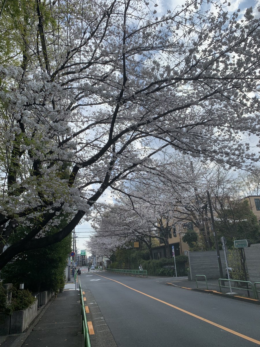 俺ん家の前の通り、みんな写真撮ってる