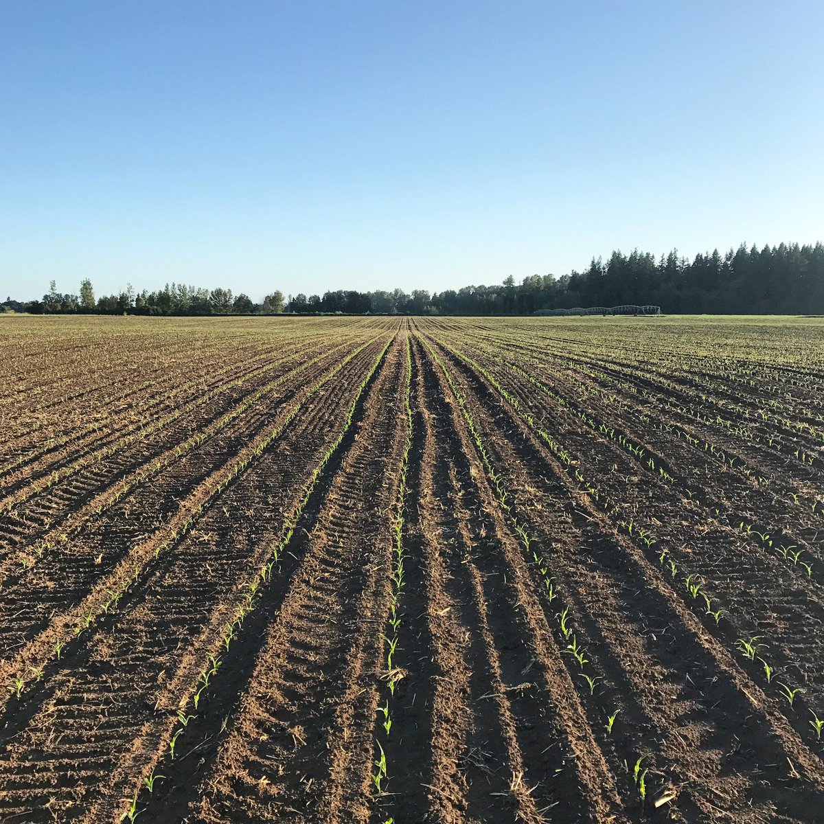 oregonaglink's tweet photo. What an abundance we get to celebrate on #NationalAgDay in our state! 🍎🍐🍉🍇🍓🫐🍈🍒🍑🍅🥦🥬🥒🌶️🫑🌽🥕🧄🧅🥔🧀🥩🥓🍗🥚 https://t.co/J0BSYwgvYj