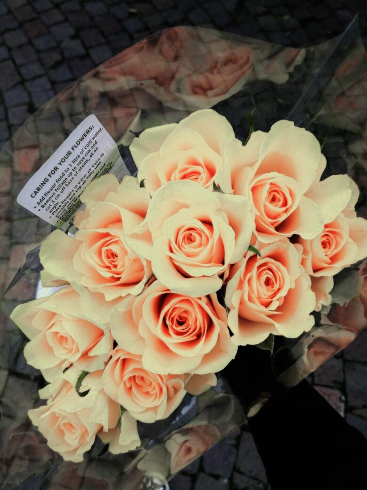 recuerdvme's tweet photo. ᅠ
ᅠ
ᅠ           

⋆  ࣪  ˖   ﹠̲   、 @mechatronicsboy  .     

      ♡     ¡feliz primavera, mi amor! 
ᅠ

ᅠ https://t.co/59QADjQkbE