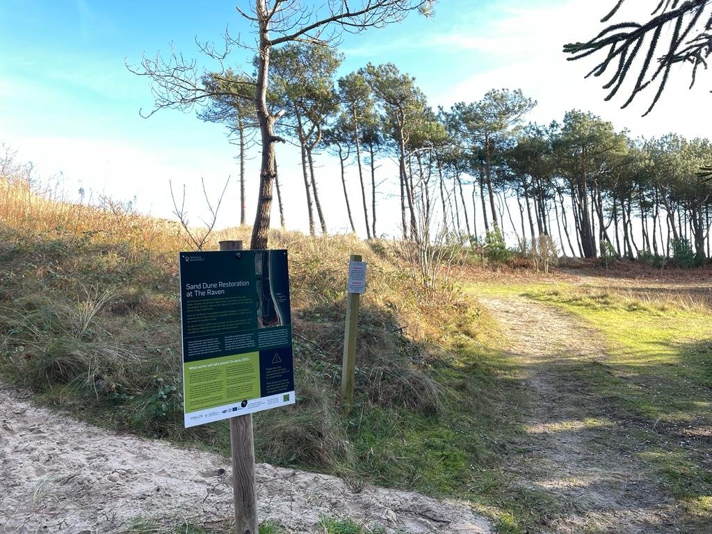 life_insular's tweet photo. We are very pleased to announce that @life_insular  restoration works have started at the Raven Nature Reserve, Co. Wexford https://t.co/pYBSpPsg92