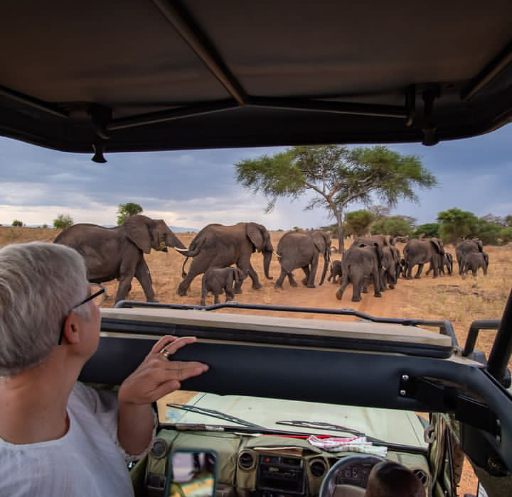 BikotoursC's tweet photo. Our safari itineraries are created to be flexible enough to suit each client, taking into account their time and budgetary restrictions.
Visit: https://t.co/v8cSmmwYiT
#wildlife #adventuretime #Safari #travelbloggers #naturelovers https://t.co/q4oDNMZbvi