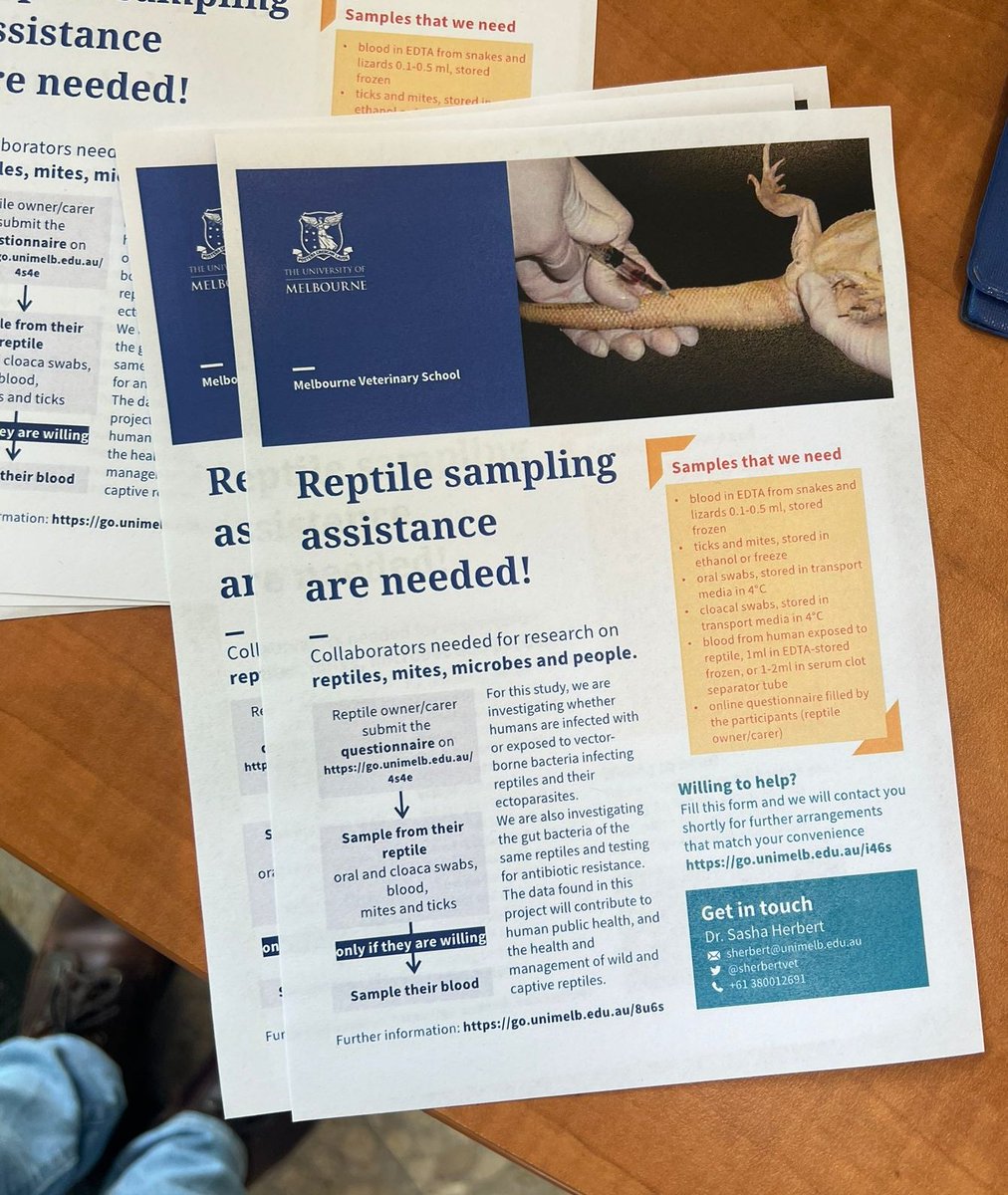 Sasha Herbert tweet media