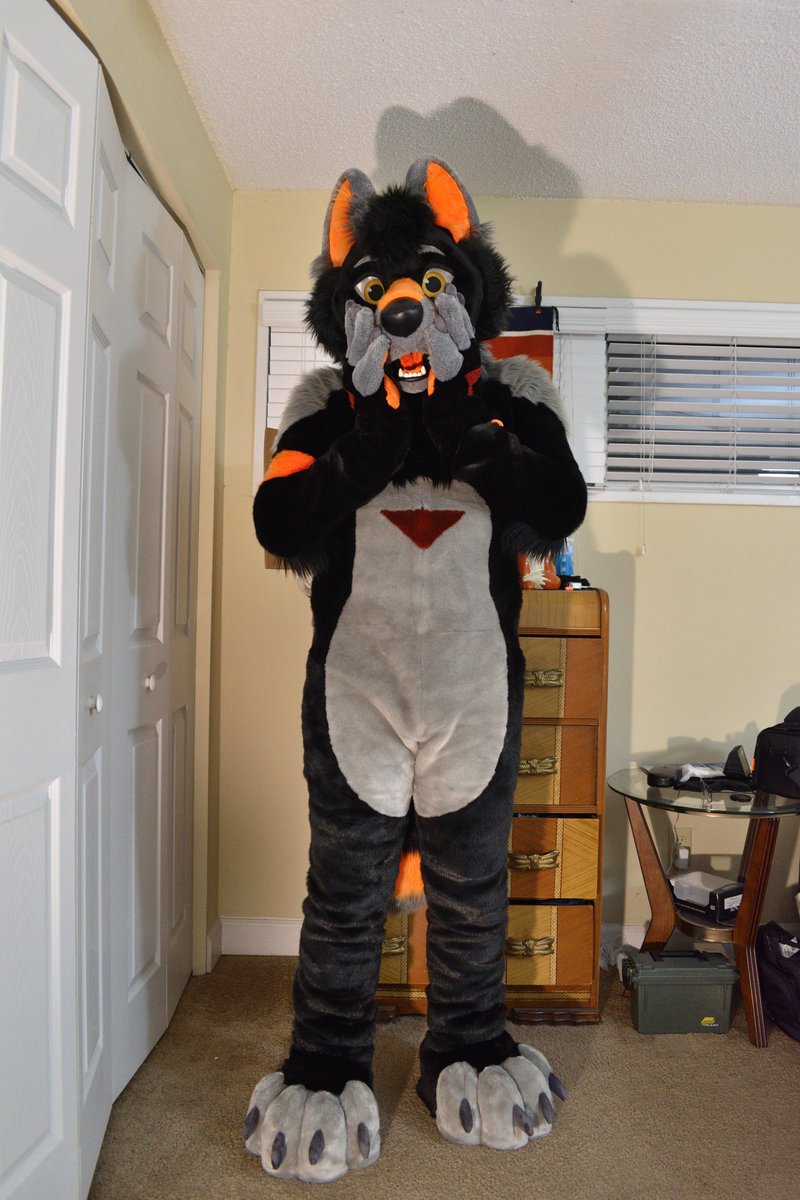 FritzyFuture's tweet photo. Guess who's struttin around with some fresh fluff! 🍊🐺 #fursuit #FursuitFriday

Big thanks to @PrimalSuits for the new bodysuit and paws!

Here's an unboxing video if you wanna watch me mumble for eight minutes 😂

https://t.co/IYmtRvYulr

✂️: @PrimalSuits https://t.co/599yEZGt25