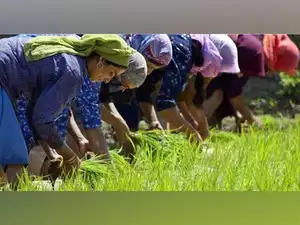 Snowjoy_Kashmir's tweet photo. In 'Kisan Mela' an amount of Rs 900 cr has been sanctioned by the Centre for holistic development of the #agriculture sector in #JammuKashmir. The event was organised with a focus to encourage farmers to adopt cultivation of Millets. #kashmir #Srinagar  #nayakashmir https://t.co/tZh7IQINIW