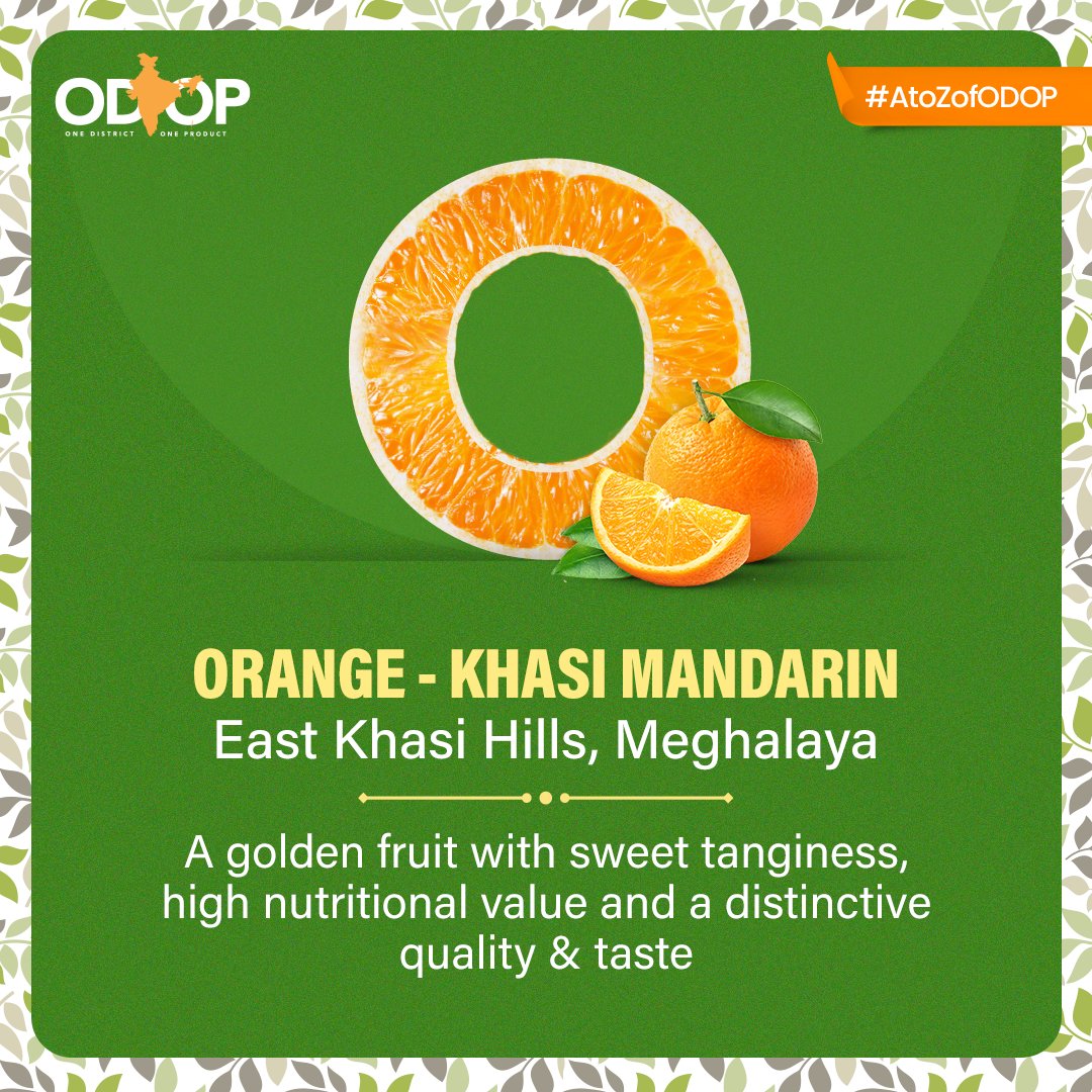 #AtoZofODOP 

The #KhasiMandarin orange gained the GI tag in 2014, which has helped promote the fruit's uniqueness.

Know more 👉 bit.ly/II_ODOP

#ODOP #OneDistrictOneProduct #DiscoverODOP #InvestInMeghalaya #MandarinOranges #EastKhasiHills @PIBShillong @APEDADOC