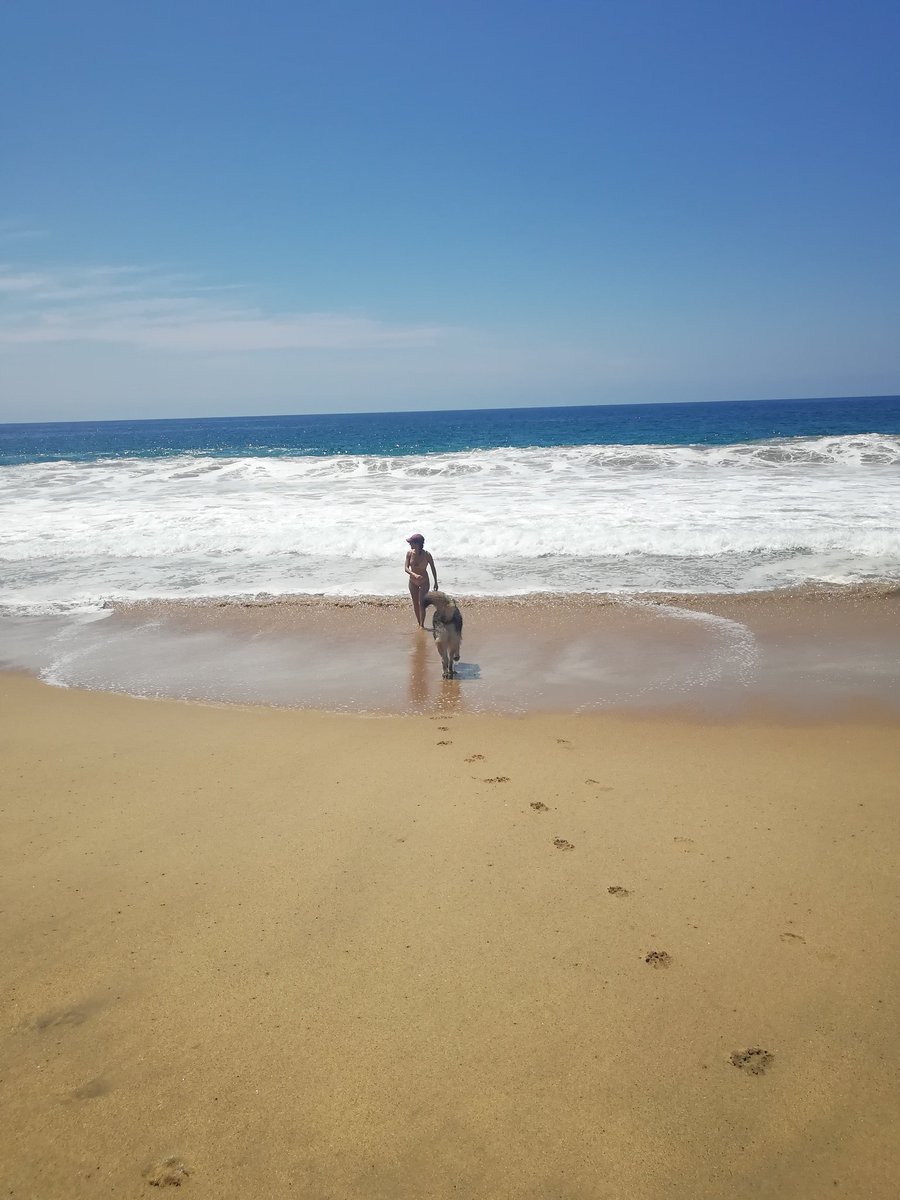adapta_2's tweet photo. ... Amo el mar!!! ❤️ https://t.co/KoNKWewgrY