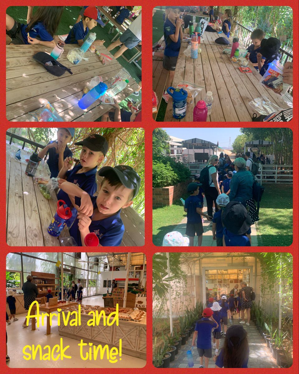 DBS_Yr1's tweet photo. We’ve arrived at @emiratesbiofarm!

First order of the day - snack time!!!

Then we got to go an exciting tractor ride! 

#learningisfun #BeginsatDBSEH
 @DubaiBritishEH https://t.co/hSiMWkToIv