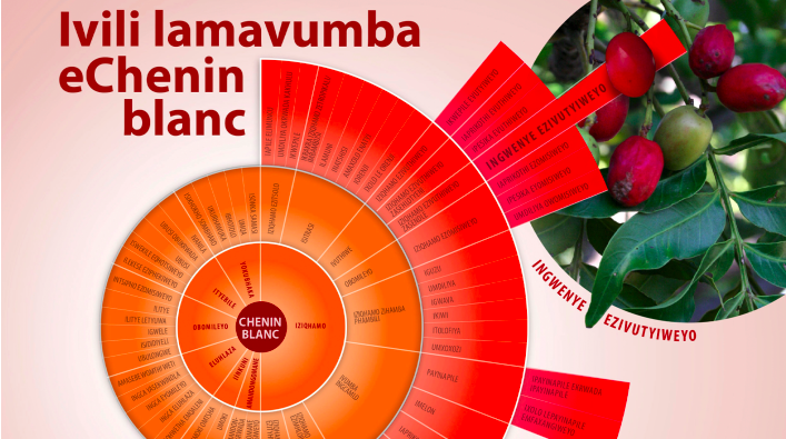 An honour to write this for <a href="/JancisRobinson/">Jancis Robinson</a>; an incredible project interpreting wine terminology into Shona, isiZulu and isiXhosa. Thank you to all who contributed! Chenin Blanc lights the way for wine-language inclusivity in South Africa. #drinkchenin jancisrobinson.com/articles/decol…