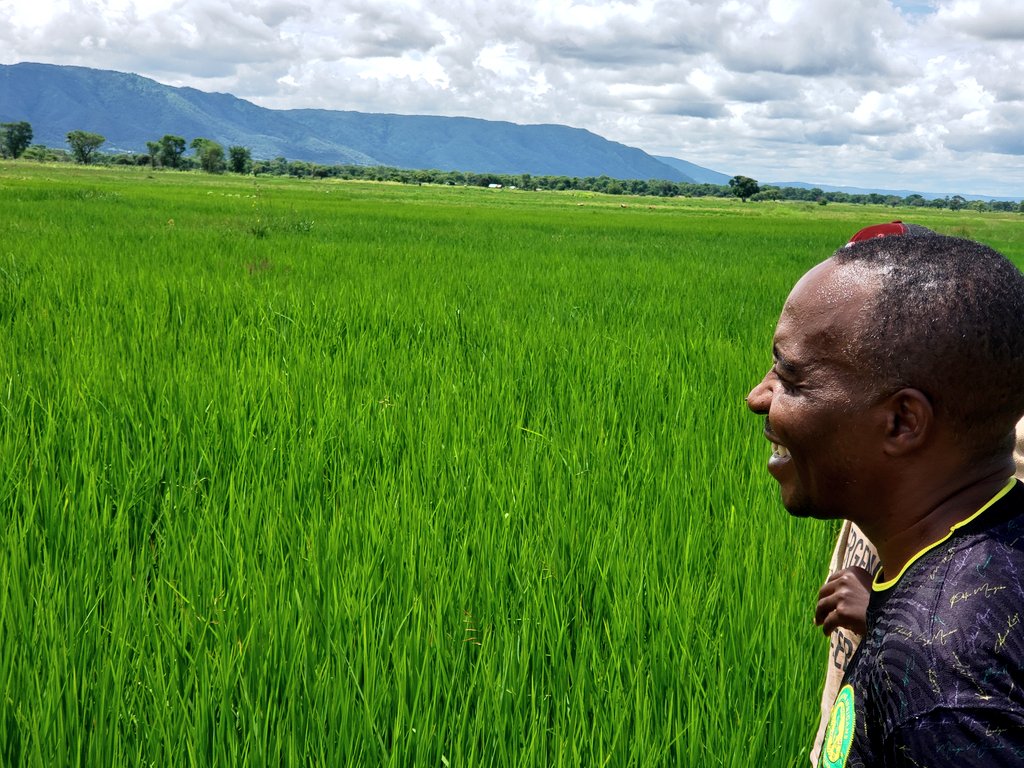 Influensa Kilimo sio plan B ni plan A inayohitaji umakini, muda na investment ya kutosha 
<a href="/FreshRafiki/">Rafiki fresh</a> <a href="/kuyelayelaa/">Kapella✌️</a> <a href="/Saleemap6/">Saleemap</a> <a href="/DorothNengai/">DorothNengai</a> <a href="/MalemboLE/">Lucas E. Malembo</a>