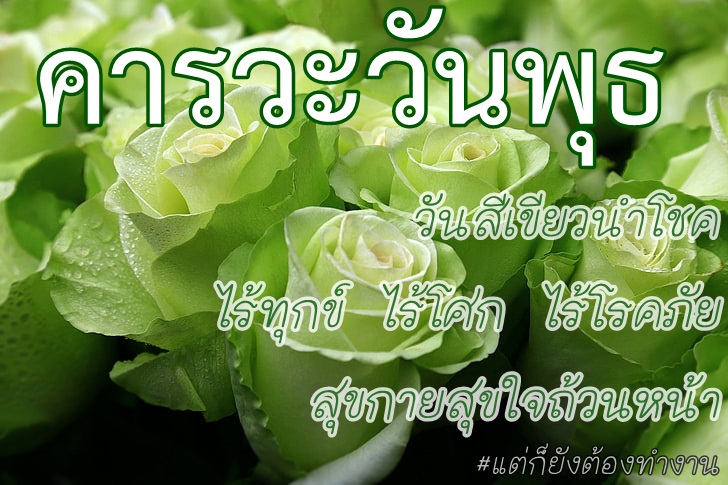 HH2_Furong's tweet photo. ฝูกงกงถวายพระพรอี้เหยินไทเฮาประจำวันพุธสีเขียว ขอจงทรงพระเจริญหมื่นปี หมื่นๆปี @HH2_TaiHao #พรุ่งนี้กิลด์วอร์ https://t.co/76gVtupi9M