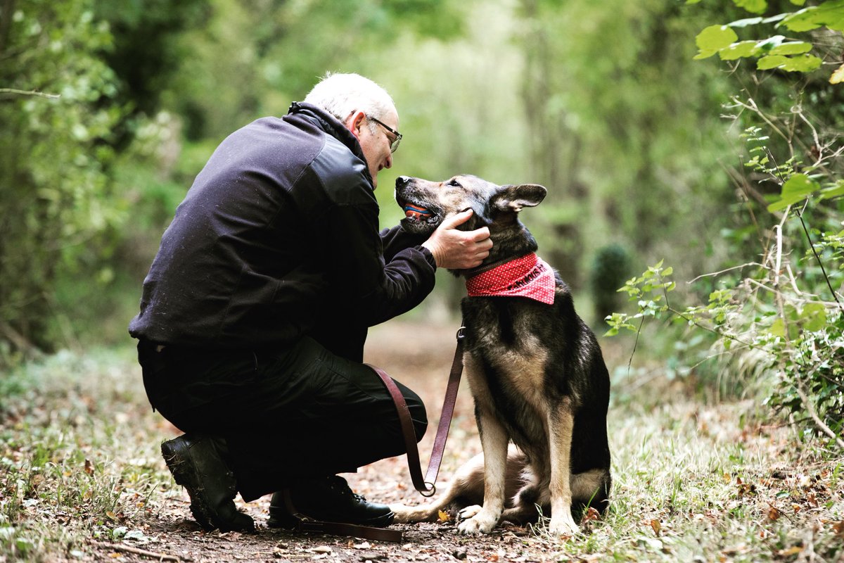 The bond between a dog and its best friend is unbreakable and eternal 🐾💙 #FabulousFinn #bestfriends #eternal #germanshepherd