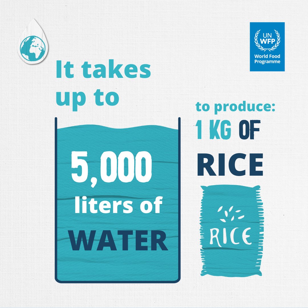 Water and food security are inextricably linked. 

Whether too much or too little, water impacts:
🥬food production
💸food accessibility
🛒and food availability

#WorldWaterDay
