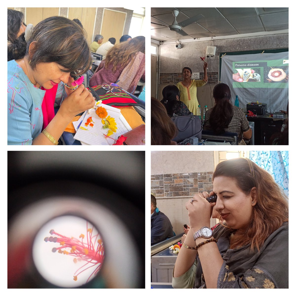 Reena Singh (@reena100) on Twitter photo #sciencetwitter
#science
3 days CPD of mentor teachers on Subject pedagogy (Science)
<a href="/PbpandeyB/">B P Pandey</a> <a href="/FromHeena/">Heena Jain</a> <a href="/Dir_Education/">DIRECTORATE OF EDUCATION Delhi</a> <a href="/DelEduRevolutn/">DelhiEducationRevolution</a> #sciencetwitter
#science
3 days CPD of mentor teachers on Subject pedagogy (Science)
<a href="/PbpandeyB/">B P Pandey</a> <a href="/FromHeena/">Heena Jain</a> <a href="/Dir_Education/">DIRECTORATE OF EDUCATION Delhi</a> <a href="/DelEduRevolutn/">DelhiEducationRevolution</a>