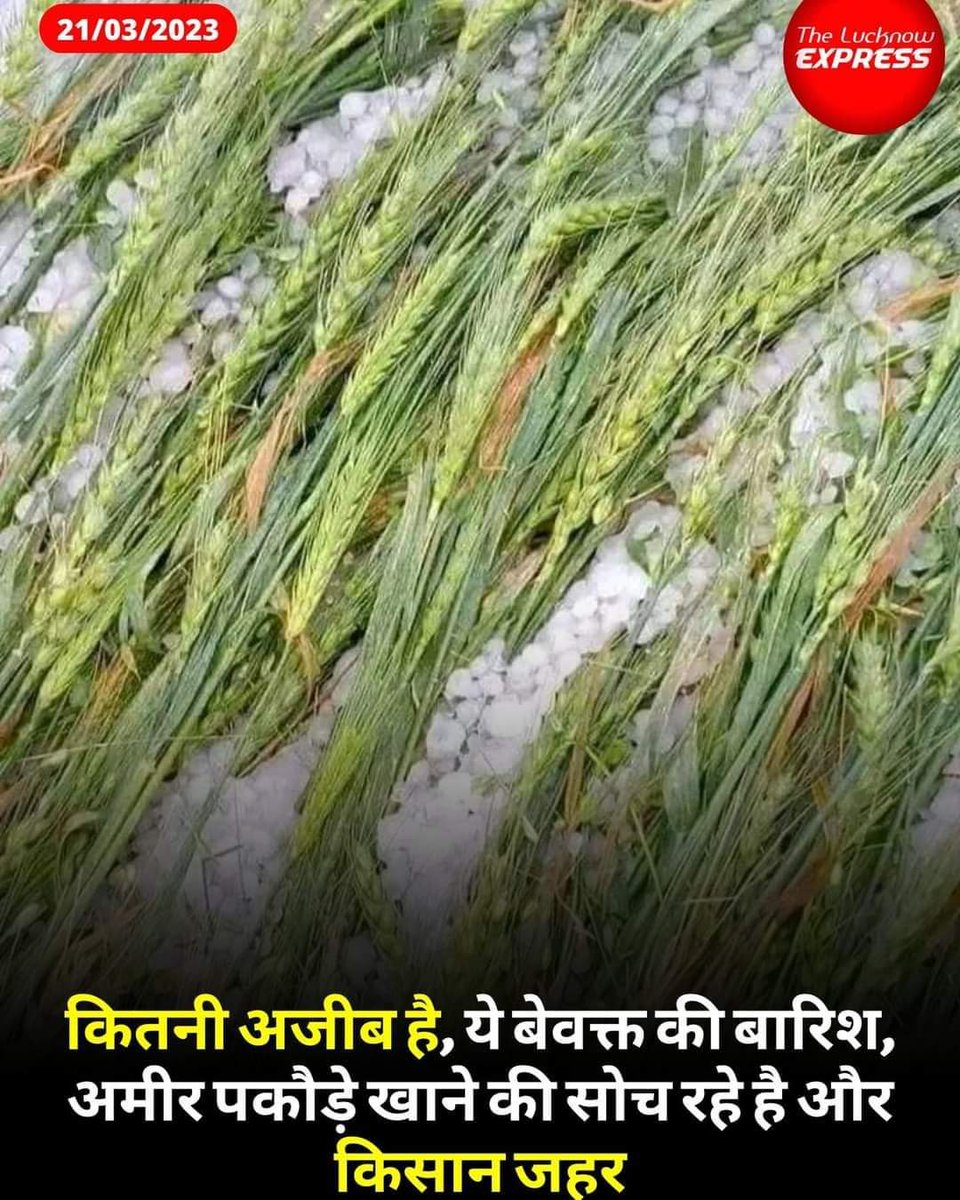 उत्तर प्रदेश में किसानों को जो मार पड़ी है वो भुखमरी और खुदकुशी की तरफ बढ़ गया है और सरकार कह रही है भजन गाओ तो सरकार को क्या यह नही मालूम कि
"भूखे भजन न होए गोपाला"
पहले त्रासदी में बर्बाद हुए किसान की मदद तो करे सरकार।
<a href="/myogiadityanath/">Yogi Adityanath</a> <a href="/yadavakhilesh/">Akhilesh Yadav</a> <a href="/AbpGanga/">ABP Ganga</a> <a href="/brajeshlive/">Brajesh Misra</a>