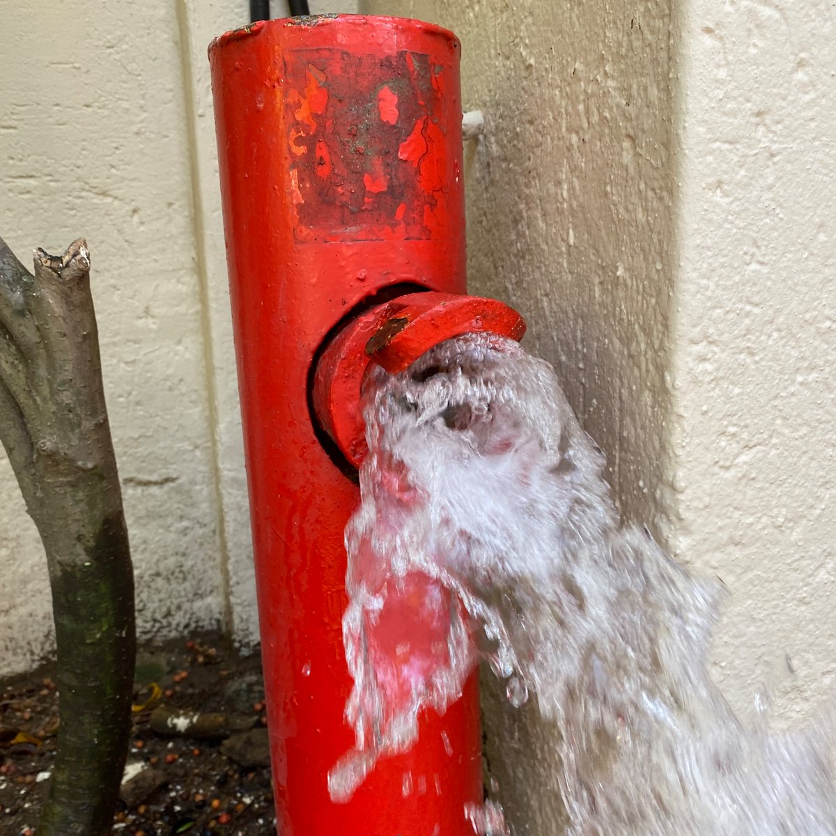 Scharl's tweet photo. @JHBWater it has now been 7 days of no one showing up to fix a broken fire hydrant. After we’ve reported this numerous times. Please help. https://t.co/uMfVVGL096