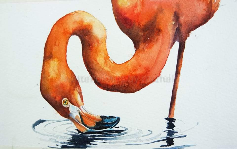 Flamingo 

Happy Wednesday x

#Watercolour #watercolourpainting #flamingo #birds #reflection #wildlife #wildlifeart #painting #paint #animalbehaviour #artist #art