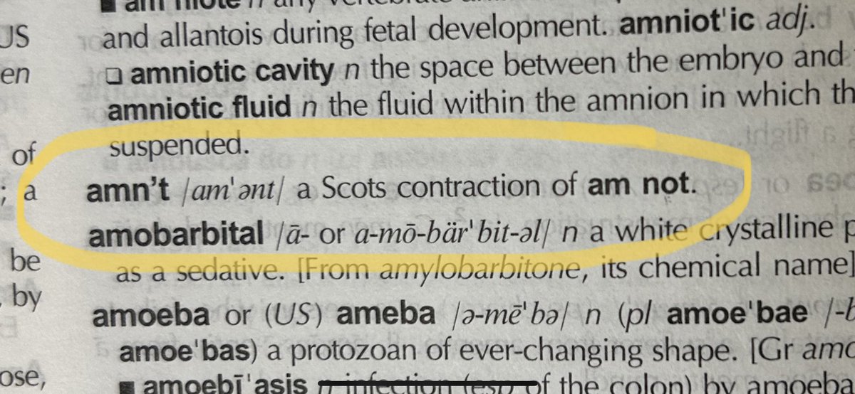 I amn’t alone. Thank you, Chambers… 😉