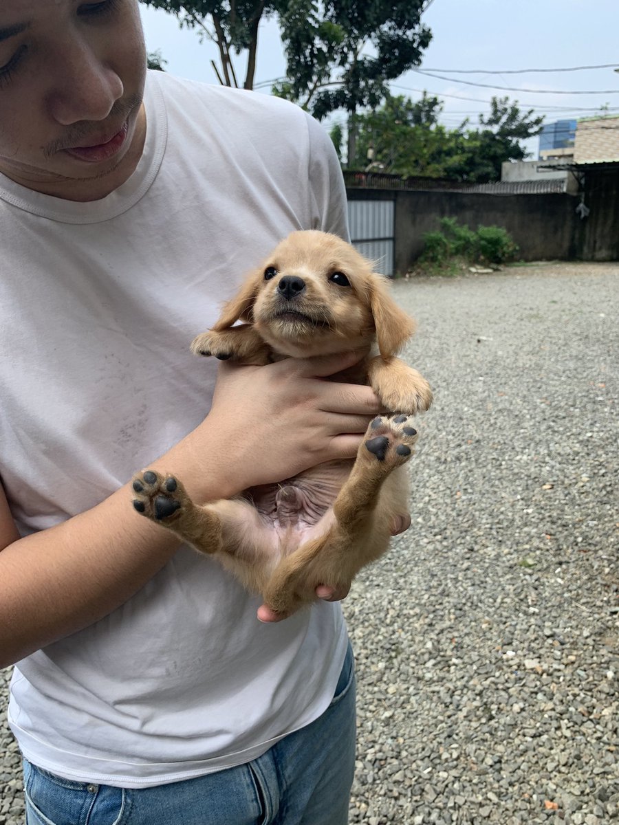 𝕬𝖓𝖆k𝖓𝖞𝖆 𝕱𝖗𝖆𝖓k 𝕮𝖆𝖘𝖙𝖑𝖊 🇵🇸 tweet media