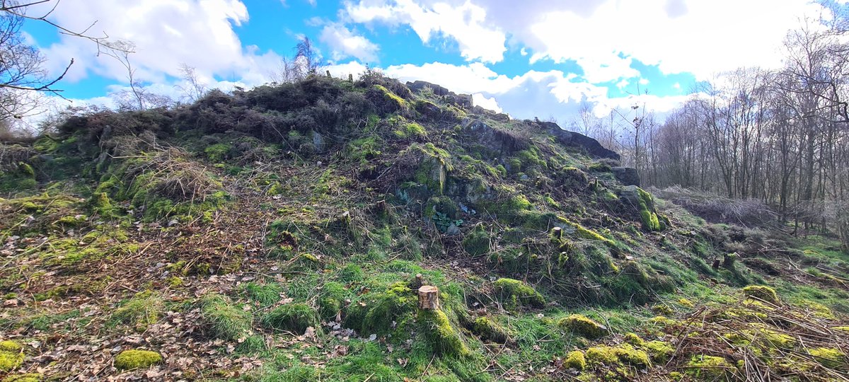 nibbynobbs's tweet photo. @TCVtweets great day spent yesterday at Bardon Hill clearing shrub to make way for the heathers/bilberry to grow back and attract the wildlife to the area!
#savethebees 
#WildlifeConservation 
#volunteering https://t.co/lMu7Nxu51j