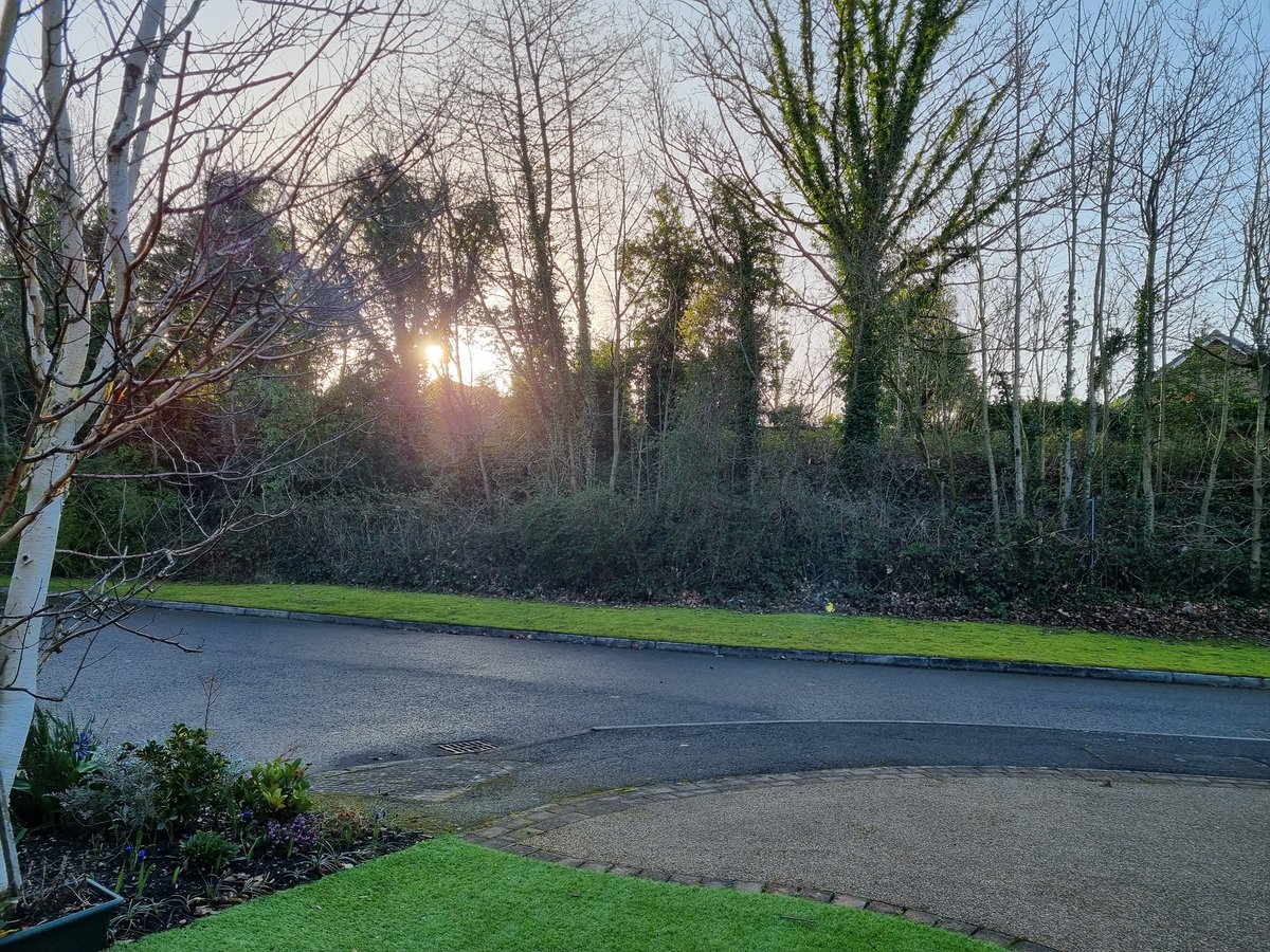 Sunrise on the day we lay my Mum to rest....she was the sunshine of our life so apt it is shining bright today 😢