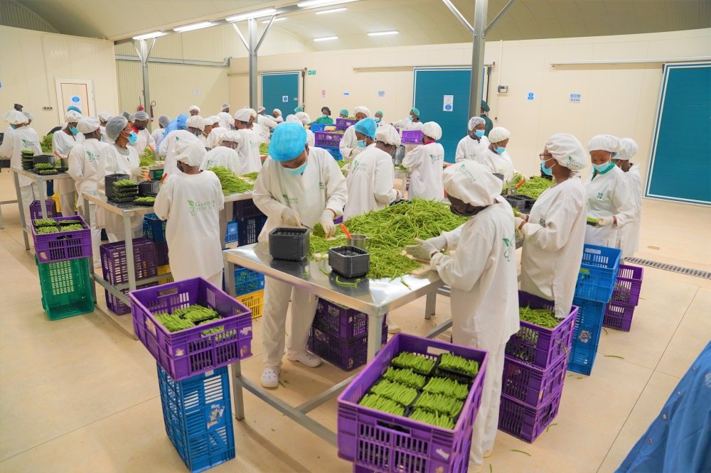 FreshRwanda's tweet photo. Recently @FreshRwanda  introduced owned Packhouse, a vital infrastructure that connects the farm and the market. 
The facility which was built, thanks to funding from the HortInvest and IDH project. It will reduce post-harvest loss while also boosting farmer income https://t.co/IFwnkWZOCq