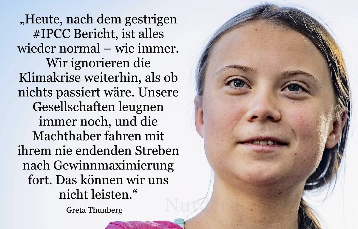 Nurder Koch tweet media