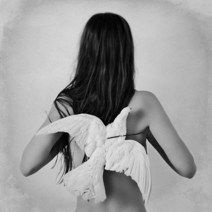 AnaBolena33's tweet photo. "Porque para quererte no necesito tenerte, te quiero libre; conmigo o sin mí. Te ofrezco mis brazos para estar juntos, o te doy mis alas para dejarte volar. Tú decides"
(Jaime Sabines)

© Hannah Lemholt https://t.co/hPTcvYfPWg