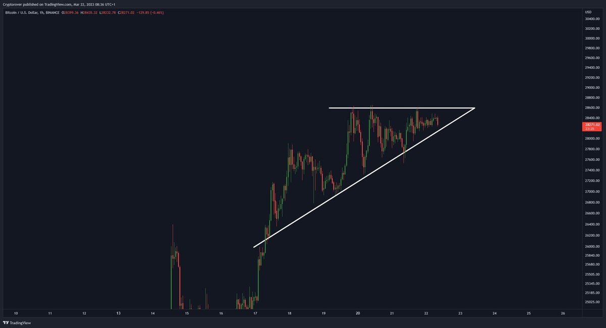Crypto Rover tweet media