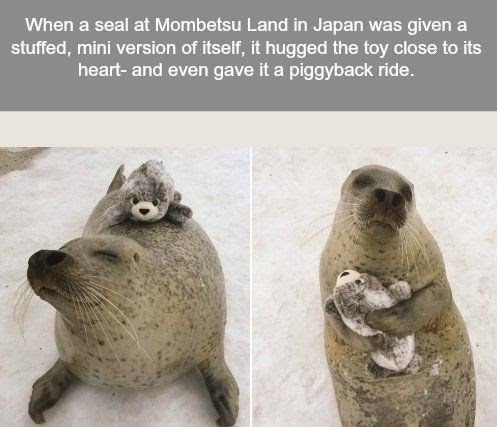 WholesomeMeme's tweet photo. https://t.co/7RDZ7xPkmZ
