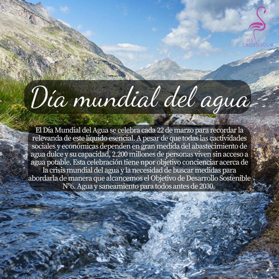 ieslagoligur's tweet photo. Hoy 22 de marzo es el Día Mundial del Agua. Y con motivo de esta efeméride, compartimos los siguientes trabajos realizados en FPB2 #proyectoaldea #ieslagoligur 🦩 https://t.co/aBV7I2lqBz