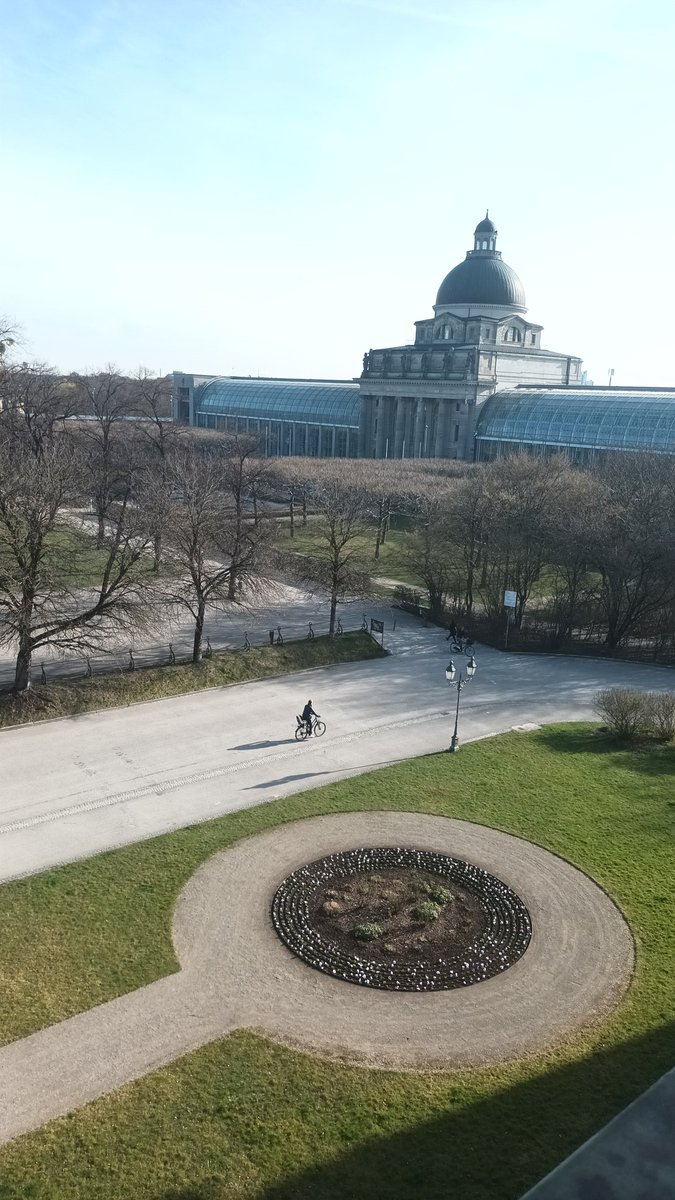 Der Frühling ist da: Stiefmütterchen sind eingepflanzt! #blickausdemfenster #Muenchen
