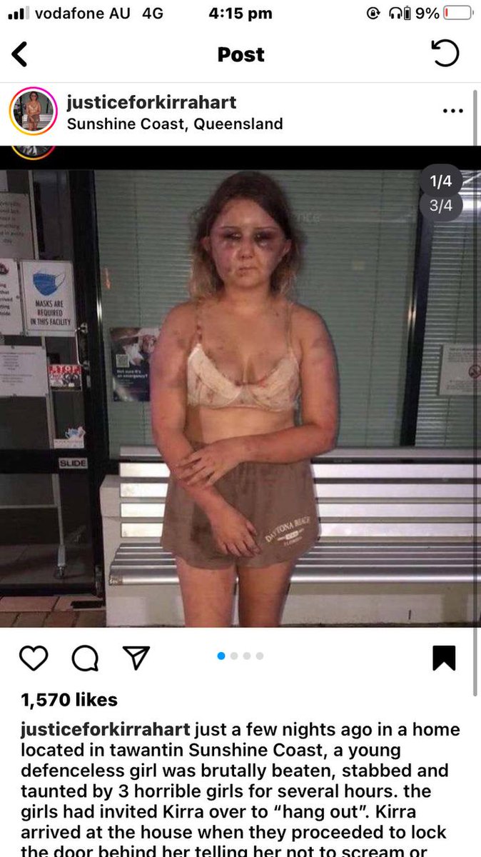 Bunya Nat. tweet media