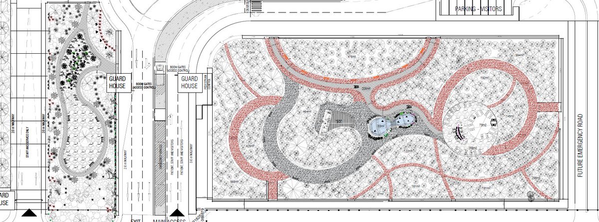 Roha Medical Campus tweet media