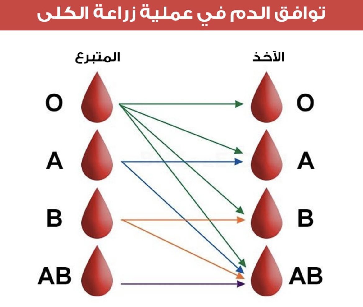 تبرع الاعضاء tweet media