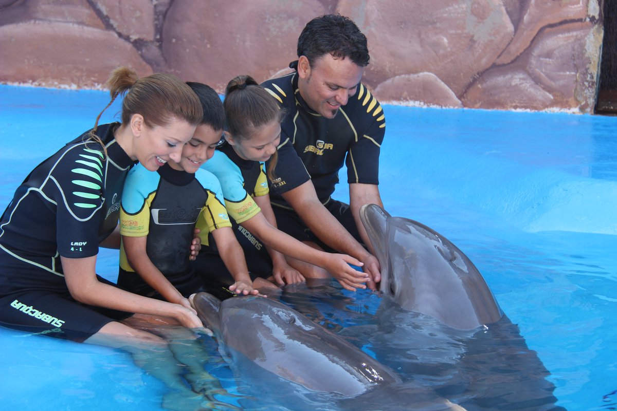 visitbenidorm's tweet photo. ¿Sabíais que el 1 de abril la diversión regresa a #Mundomar? Os animamos a vivir la experiencia. 🧡
Did you know that on April 1st the fun is back at #Mundomar? 😱 We encourage you to live the experience. 🧡
🔗https://t.co/qnWZoeaZe1
#VisitBenidorm #Benidorm4Families https://t.co/tnF9SFFYkt