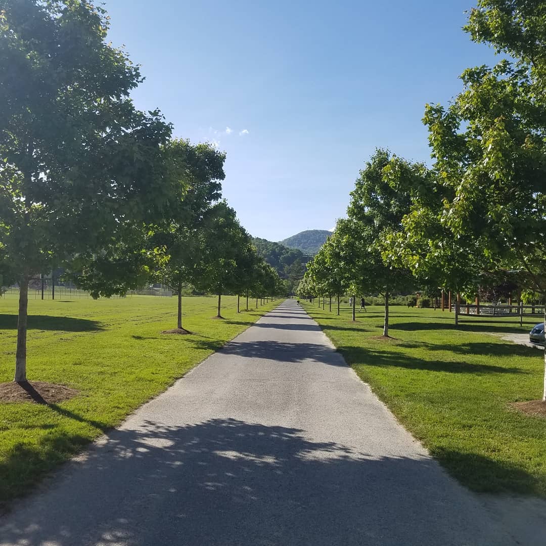 If you've ever walked the #Greenway, you're probably familiar with these trees. Planted in 2015 to commemorate 100 years of serving the #HighCountry, this #FlashbackFriday we celebrate #EarthMonth with a reminder that we can all do our part to build a cleaner future!
#PublicPower