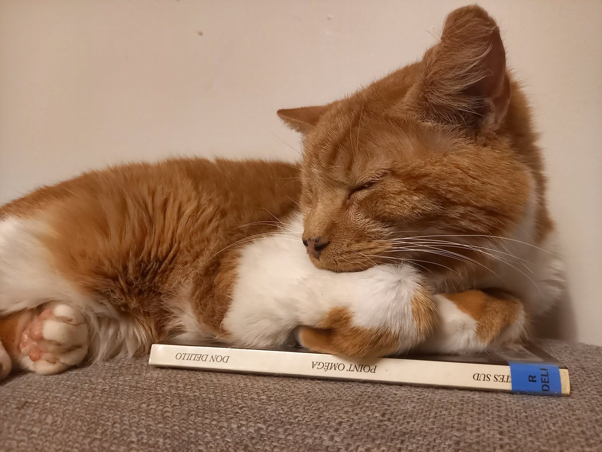 Bonnet de nuit à tous... Pour ma part, je ne dors pas, je médite, nuance...😸