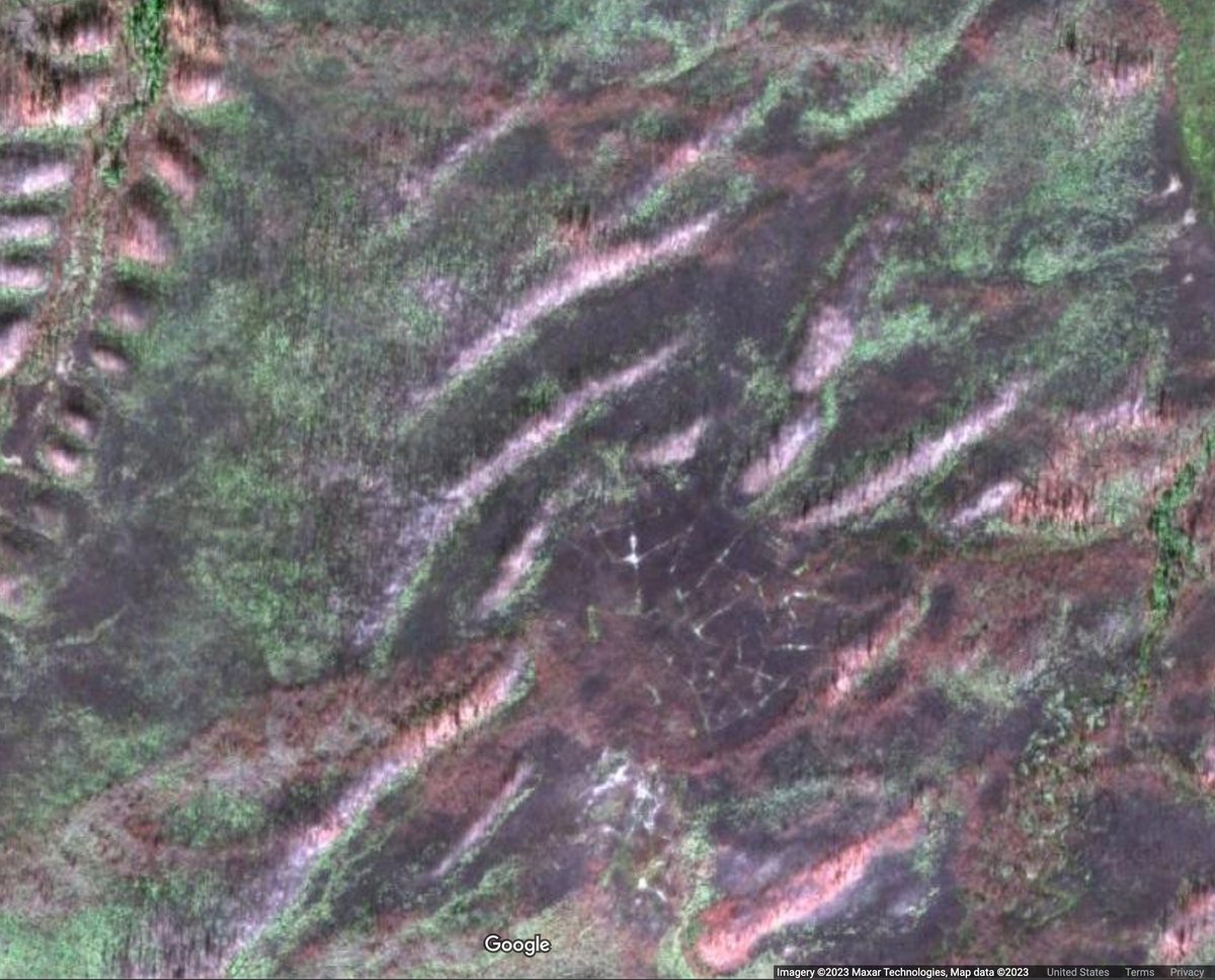 Some neat instances of visible ice-wedge degradation in interior Alaska following the 2009 Big Creek wildfire. 

As seen in google earth