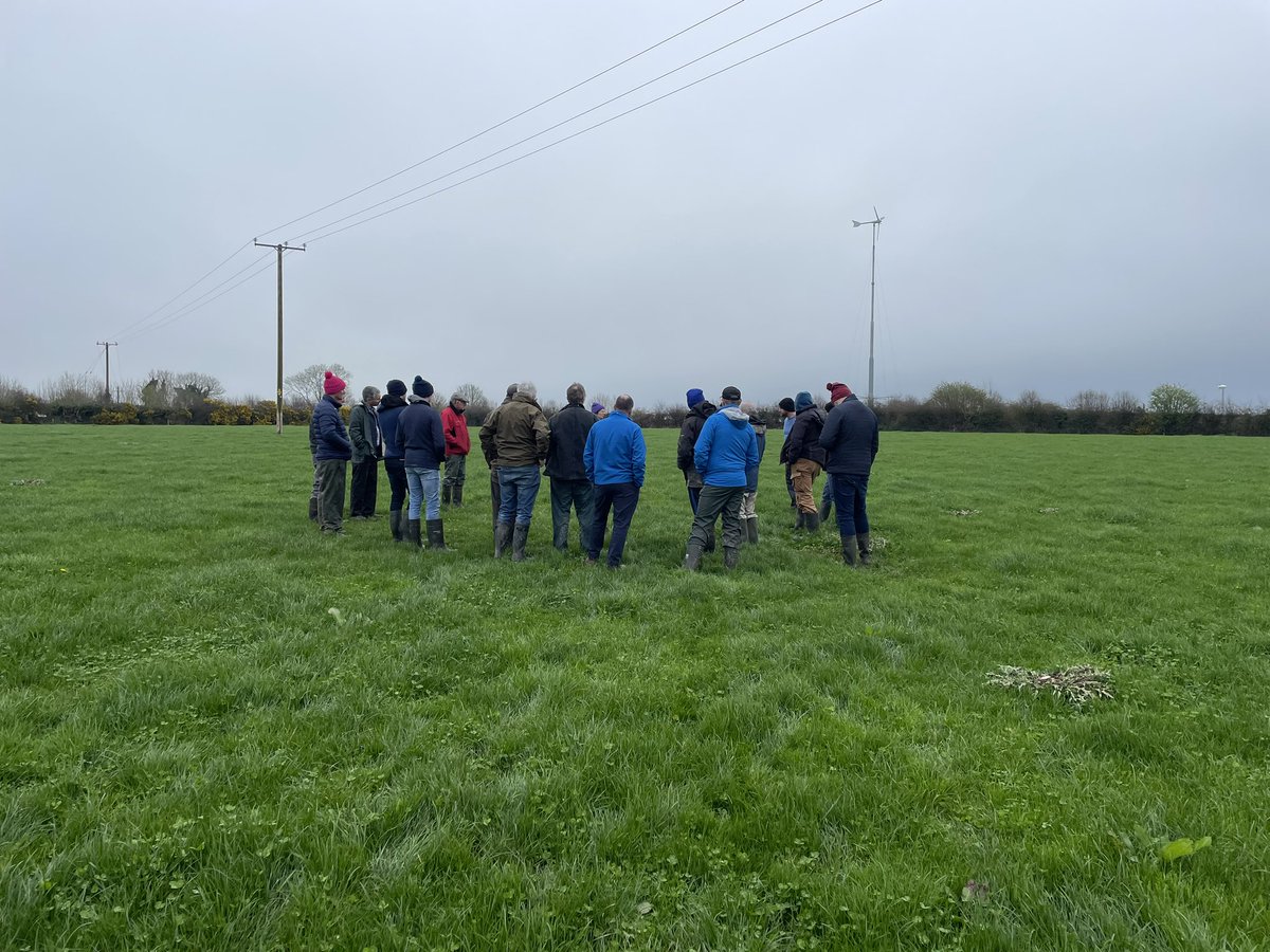 Big thank you to Mike Walsh, Thomas Maloney, and Kevin o Hanlon for hosting our visits today. #soilhealth #multispecies #rumenhealth #soilbiology and #feeduseefficiency were all hot topics for the day. Even managed to dodge most of the rain😁

#farmerseducatingfarmers