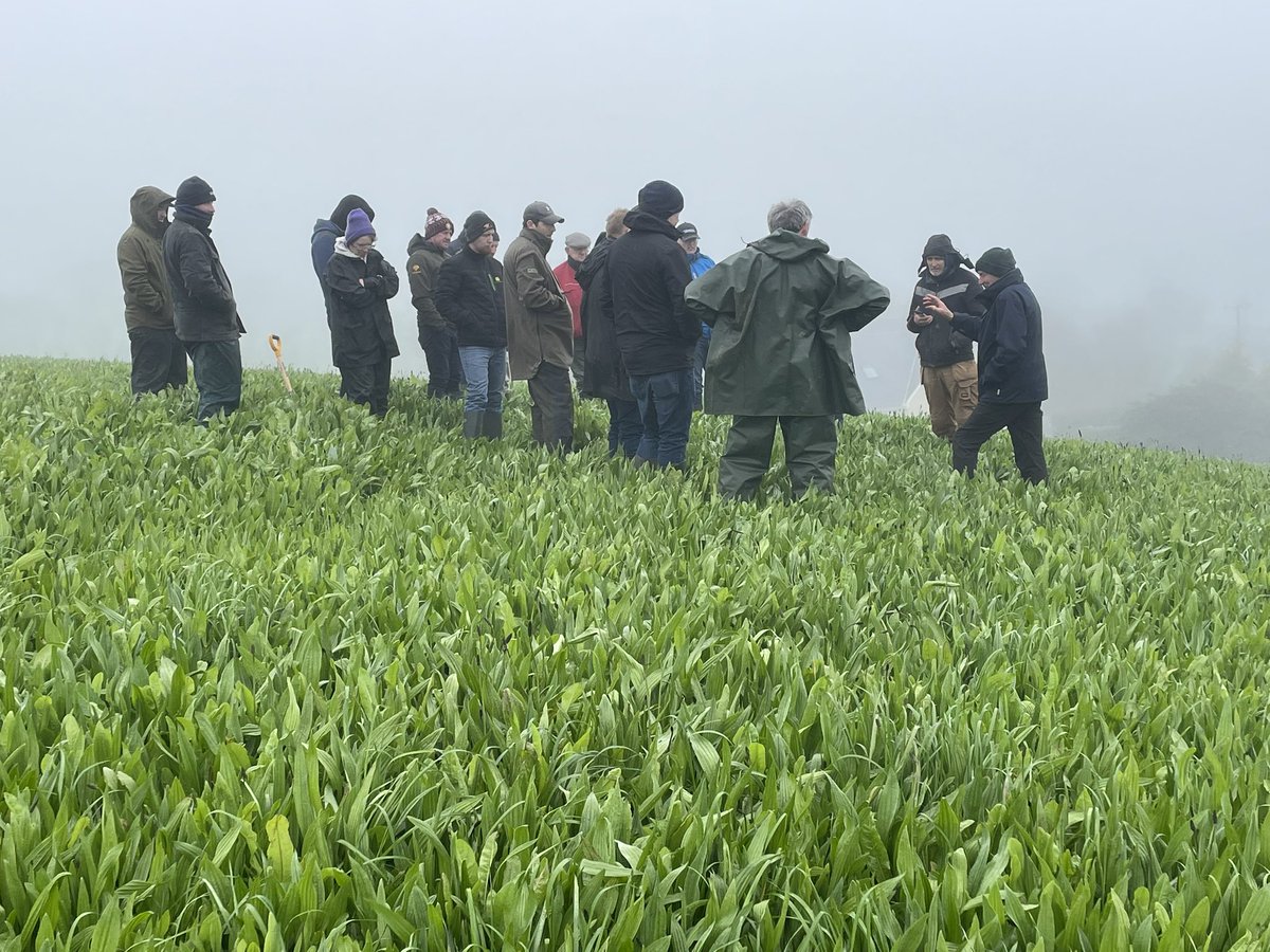 BaseIreland's tweet photo. Big thank you to Mike Walsh, Thomas Maloney, and Kevin o Hanlon for hosting our visits today. #soilhealth #multispecies #rumenhealth #soilbiology and #feeduseefficiency were all hot topics for the day. Even managed to dodge most of the rain๐
#farmerseducatingfarmers https://t.co/RHOryj0HYn