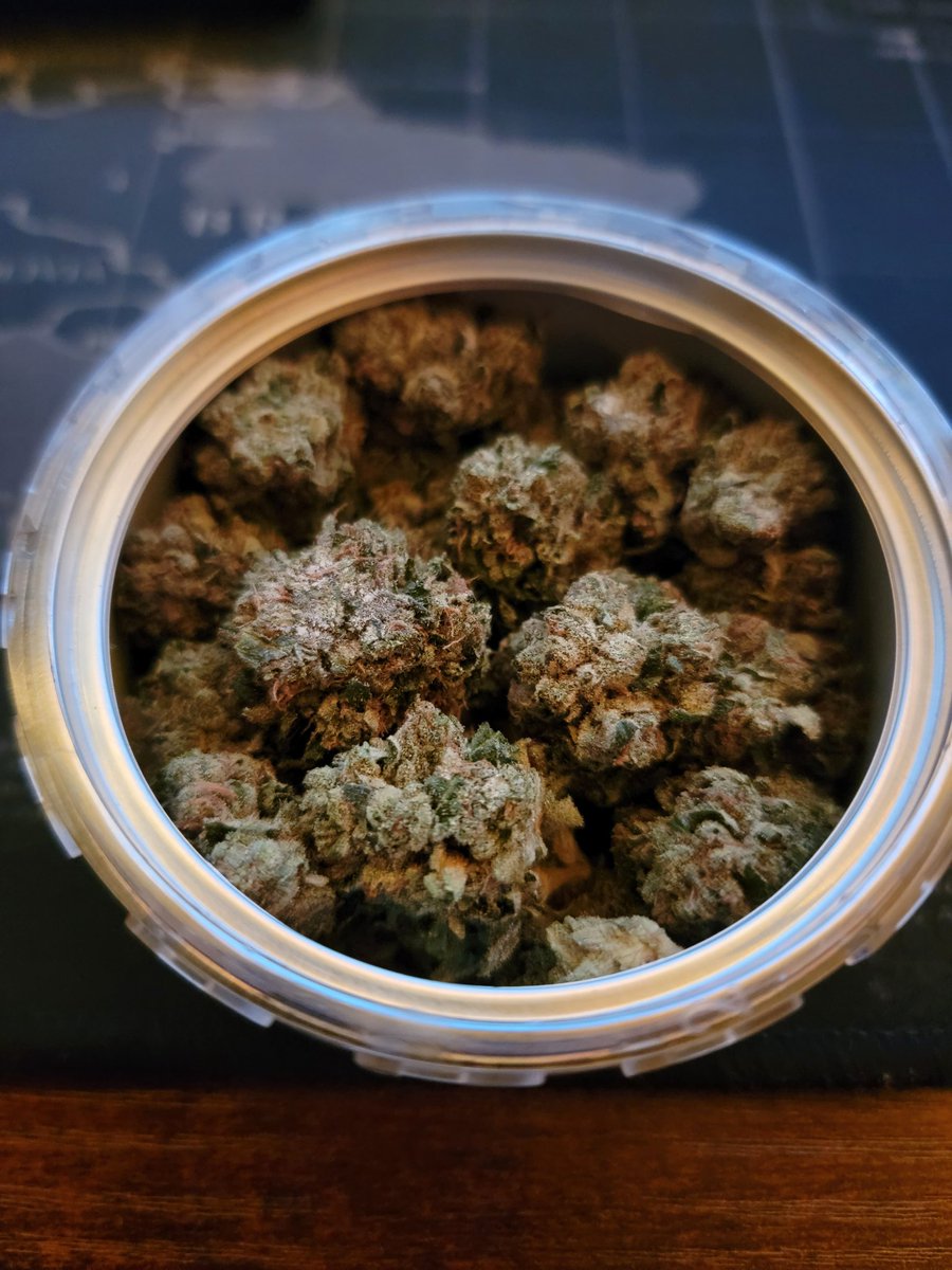 MurphyLee613's tweet photo. Salty Pink by @goldenspruceca1

Yea... this is the one. Are you looking for that Pink cut from the legacy days? That earthy gas scent with the signature 'Pink' aroma at the end? This is it.

Absolutely gobsmacked with crystals. Stuff is extremely sticky. 

I know most people dont https://t.co/iwsjYbFa4N
